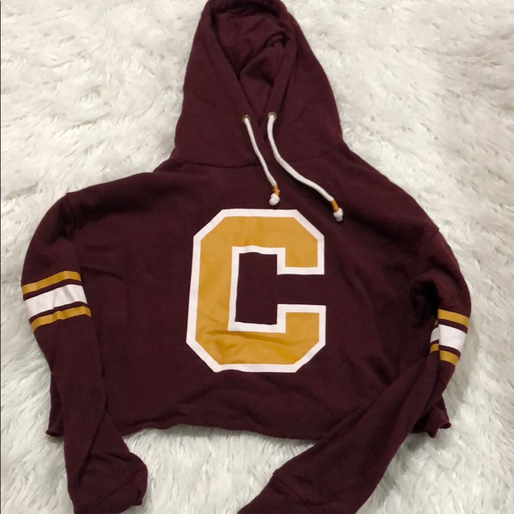 Fovecer 21 maroon graphic cropped hoodie